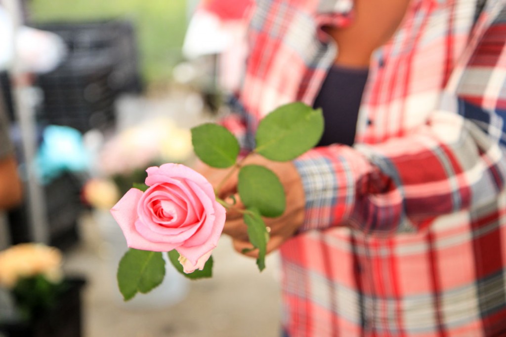 Stop and smell the roses on your Farmer's Market date in Brentwood.