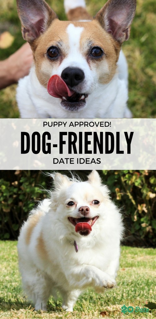 Puppy-Approved Ideas for a Dog-Friendly Date #20DollarDate